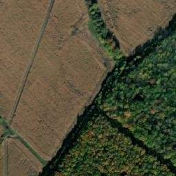 Satellite imagery of Čertovina [Mnichovo Hradiště-Sychrov], CZ