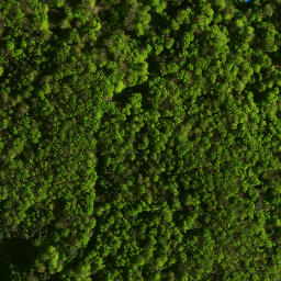 Satellite imagery of Morsko - Ruiny zamku, PL