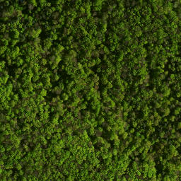 Satellite imagery of Morsko - Ruiny zamku, PL