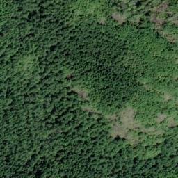 Satellite imagery of Collingwood Mount, CA