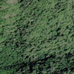 Satellite imagery of Collingwood Mount, CA