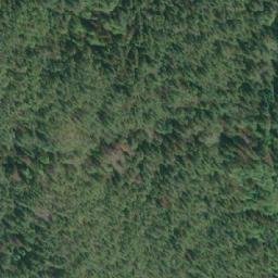 Satellite imagery of Amor Point, CA