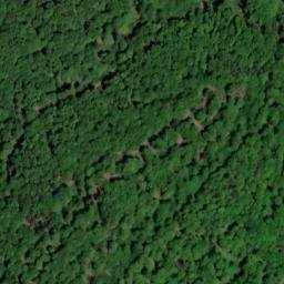 Satellite imagery of Roter Bühl, DE