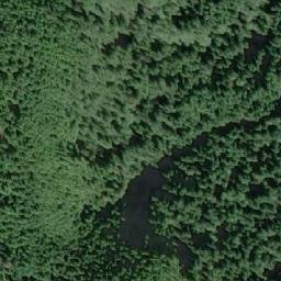 Satellite imagery of Mount Shute, CA