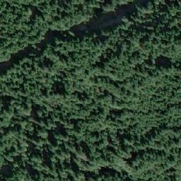 Satellite imagery of Mount Shute, CA