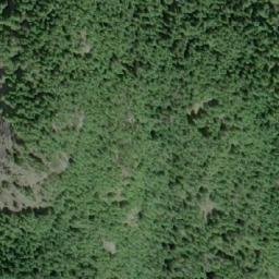 Satellite imagery of Mount Shute, CA