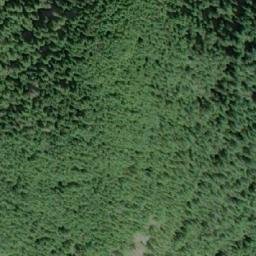 Satellite imagery of Mount Shute, CA