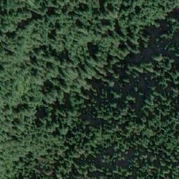 Satellite imagery of Mount Shute, CA