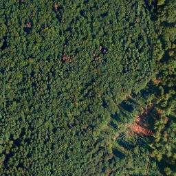 Satellite imagery of Kreuz-Berg, DE