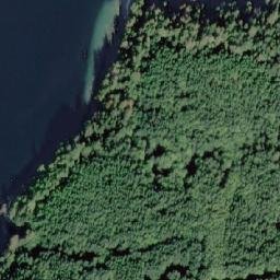 Satellite imagery of Whitebeach Point, CA