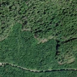 Satellite imagery of Collingwood Point, CA