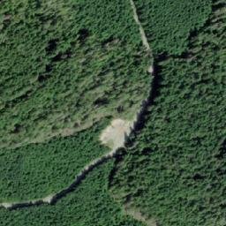 Satellite imagery of Collingwood Point, CA