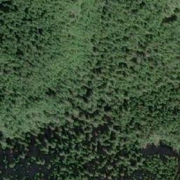 Satellite imagery of Mount Shute, CA