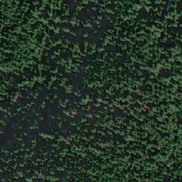Satellite imagery of Mount Shute, CA