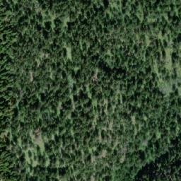 Satellite imagery of Nicoelton Mountain, CA