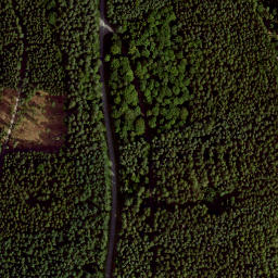 Satellite imagery of Büchelberg, DE