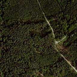 Satellite imagery of Büchelberg, DE