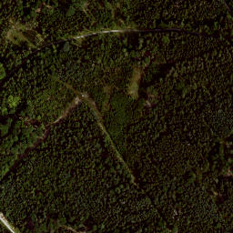 Satellite imagery of Büchelberg, DE