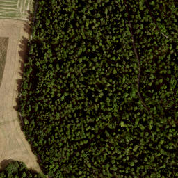 Satellite imagery of Dreiherrnstein, DE