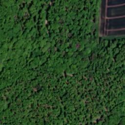 Satellite imagery of Neuberg, DE