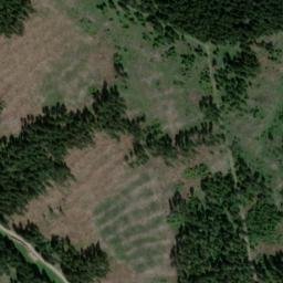 Satellite imagery of Steinbiel, DE