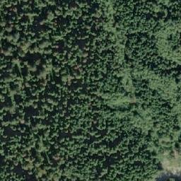 Satellite imagery of Dyer Point, CA