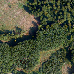 Satellite imagery of Kreuz-Berg, DE
