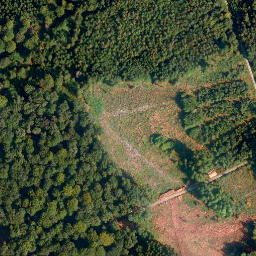 Satellite imagery of Kreuz-Berg, DE