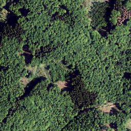 Satellite imagery of Steinbacher Kopf, DE