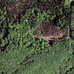 Satellite imagery of Wallenberg, DE