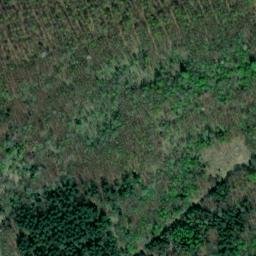 Satellite imagery of Steiger, DE