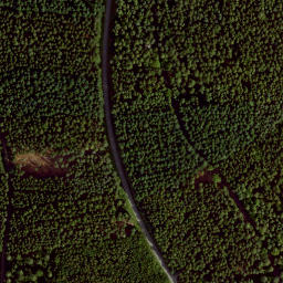Satellite imagery of Büchelberg, DE
