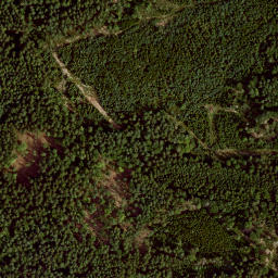 Satellite imagery of Büchelberg, DE