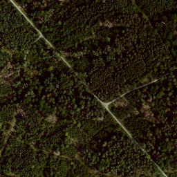Satellite imagery of Büchelberg, DE