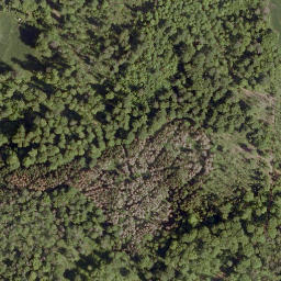 Satellite imagery of Eichberg, DE