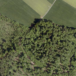 Satellite imagery of Eichberg, DE