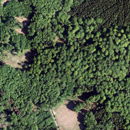 Satellite imagery of Steinbacher Kopf, DE