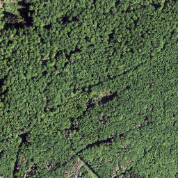 Satellite imagery of Wallenberg, DE