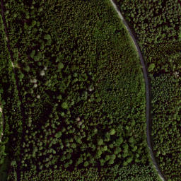 Satellite imagery of Büchelberg, DE