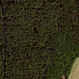 Satellite imagery of Büchelberg, DE