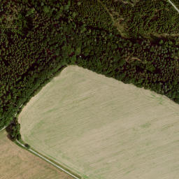 Satellite imagery of Büchelberg, DE
