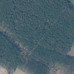 Satellite imagery of Kamień graniczny 1905, PL