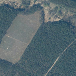 Satellite imagery of Kamień graniczny 1905, PL