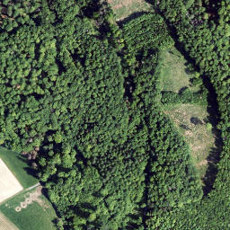 Satellite imagery of Steinbacher Kopf, DE