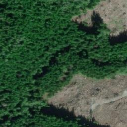 Satellite imagery of Domville Point, CA
