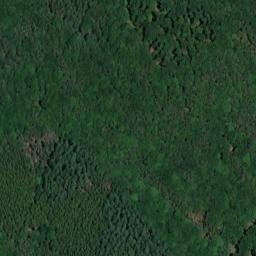Satellite imagery of Steckenberg, DE