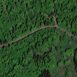 Satellite imagery of Nesselberg, DE