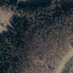 Satellite imagery of Neuhofer Berg, DE
