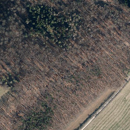 Satellite imagery of Neuhofer Berg, DE