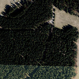 Satellite imagery of Fehrenberg, DE